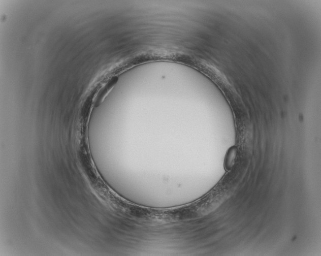 X0000086040736200704202010