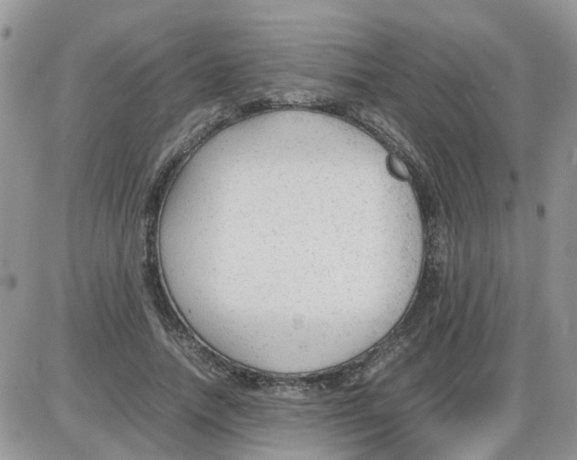 X0000086040738200704202010