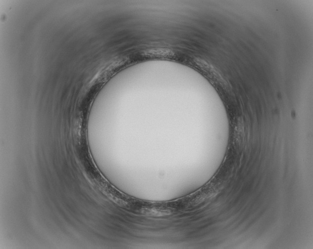 X0000086040739200704202010