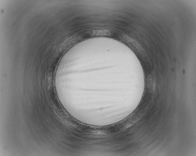 X0000086040741200704202010