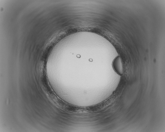 X0000086040742200704202010