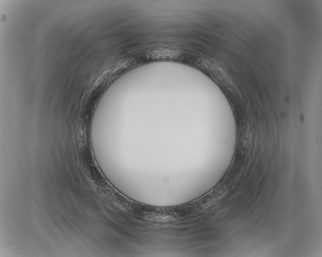 X0000086040743200704202010