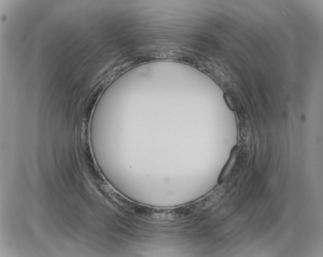 X0000086040744200704202010