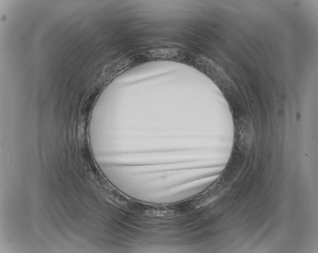 X0000086040745200704202010