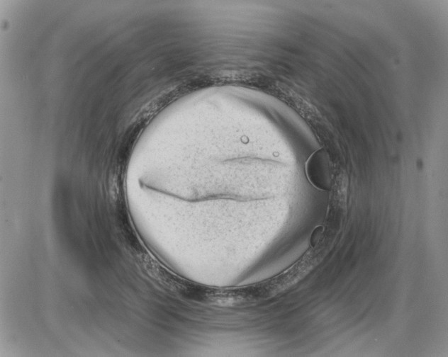 X0000086040746200704202010