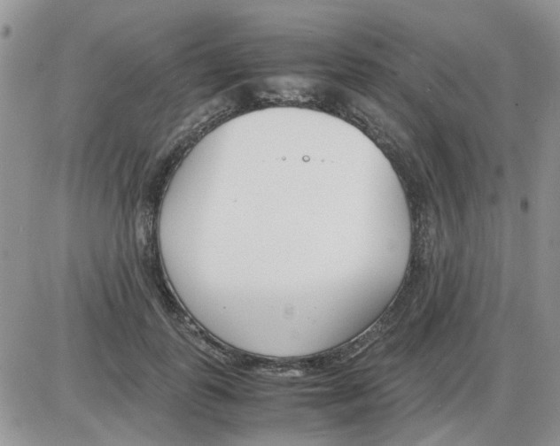 X0000086040747200704202010