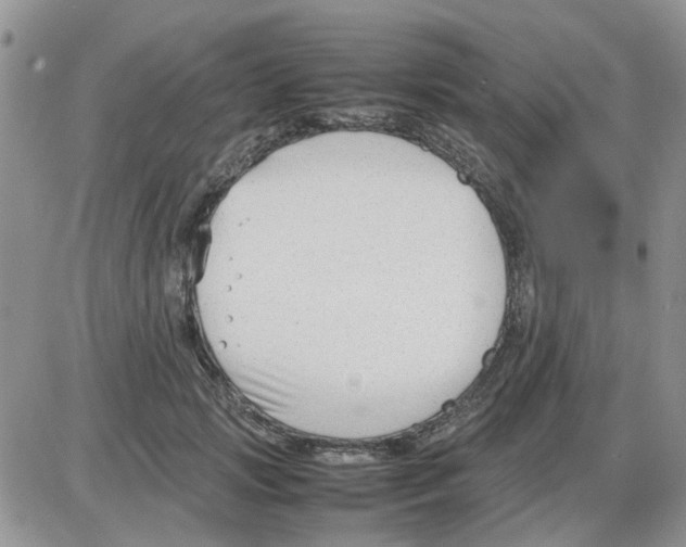 X0000086040749200704202011