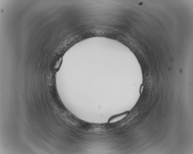 X0000086040750200704202011