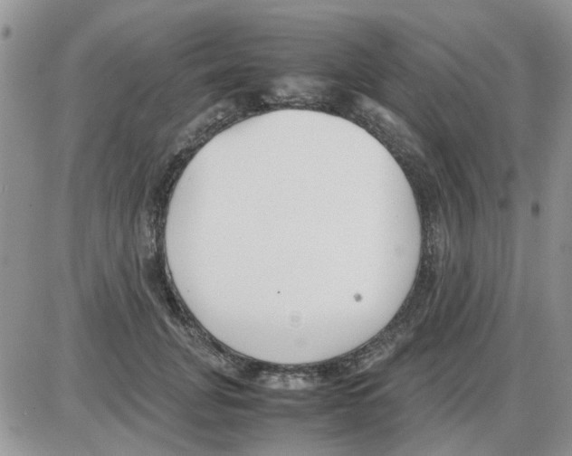 X0000086040751200704202011