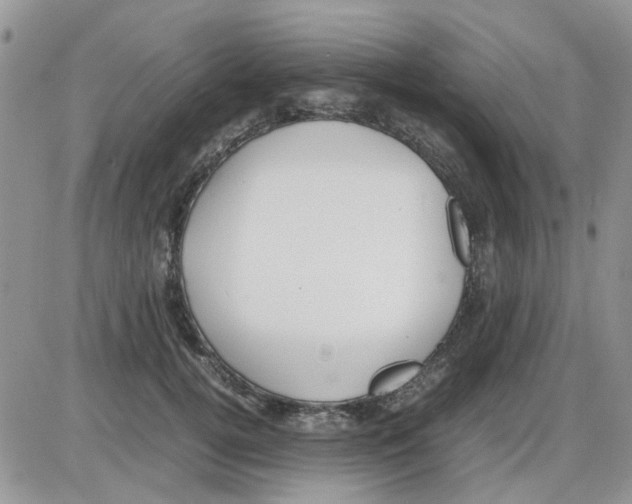 X0000086040752200704202011