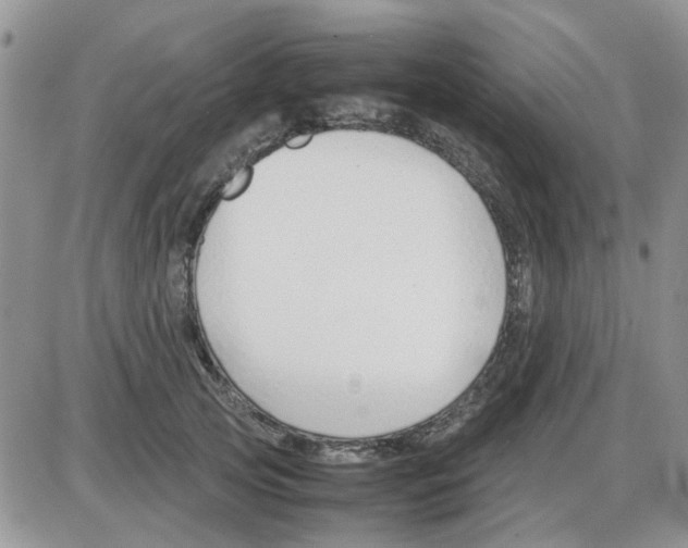 X0000086040753200704202011