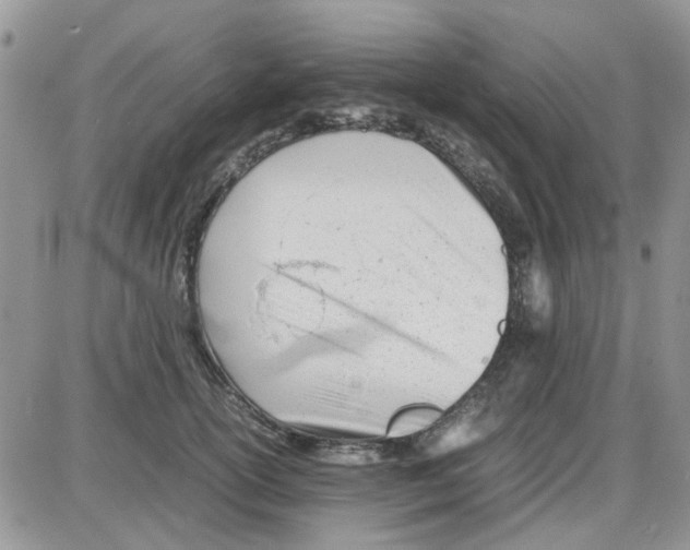 X0000086040754200704202011