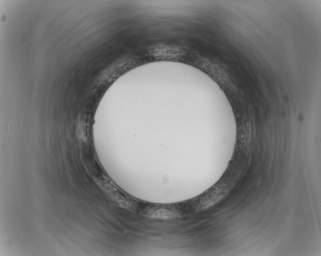 X0000086040755200704202011