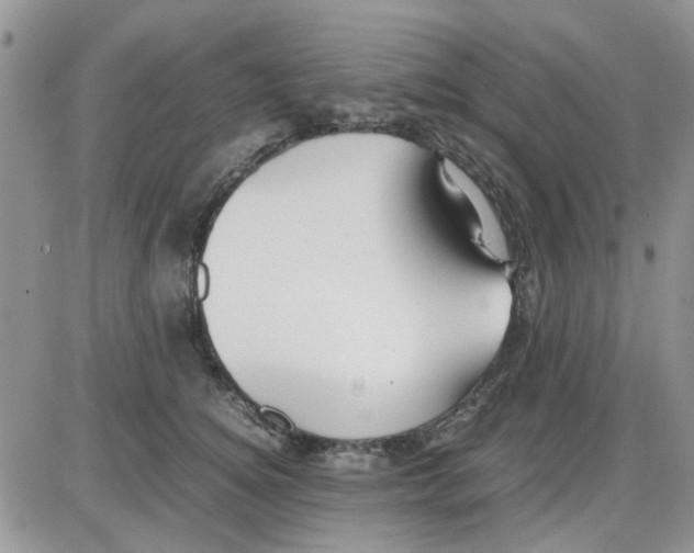 X0000086040756200704202011