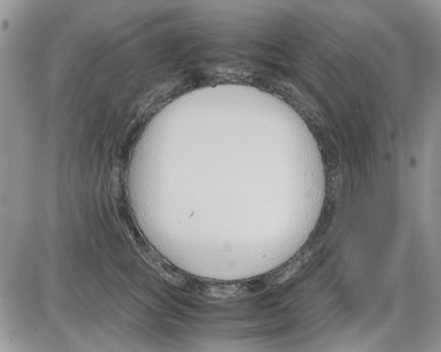 X0000086040757200704202011