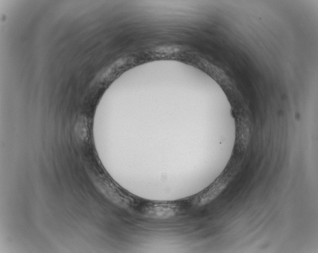 X0000086040758200704202011