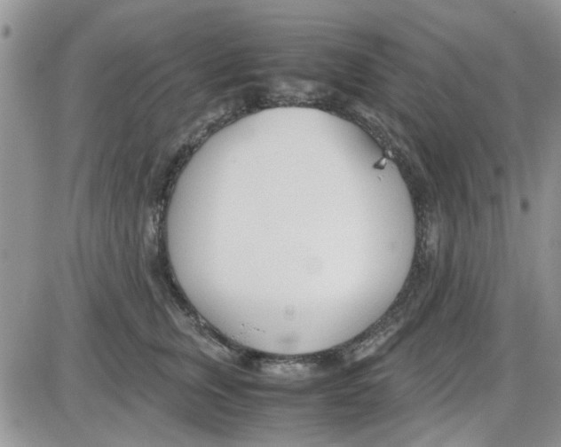 X0000086040759200704202011