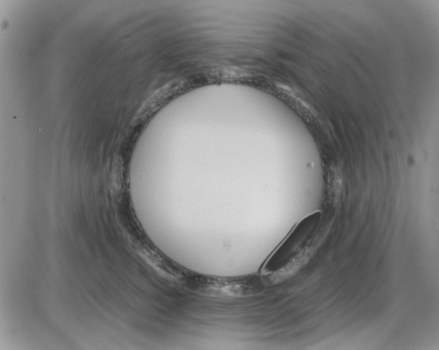 X0000086040760200704202011