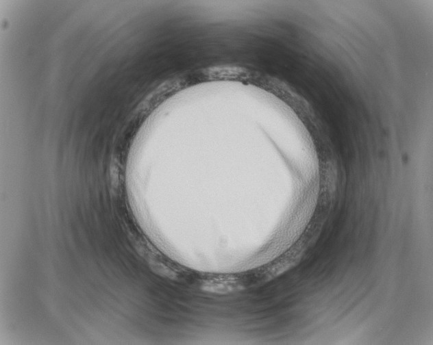 X0000086040761200704202011