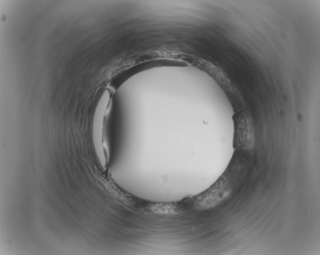 X0000086040762200704202011