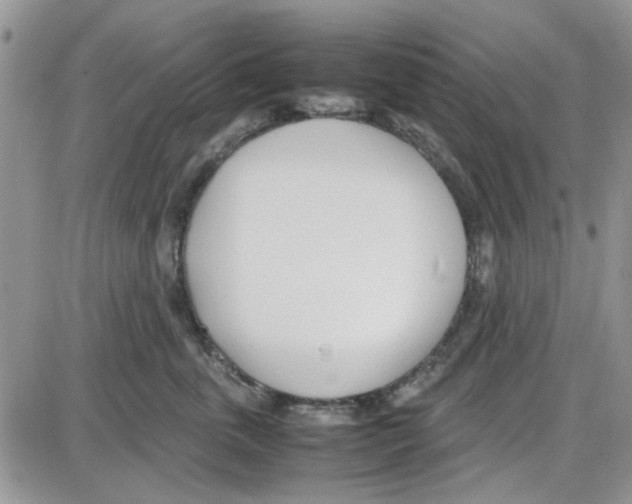 X0000086040763200704202011