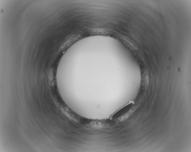 X0000086040764200704202011