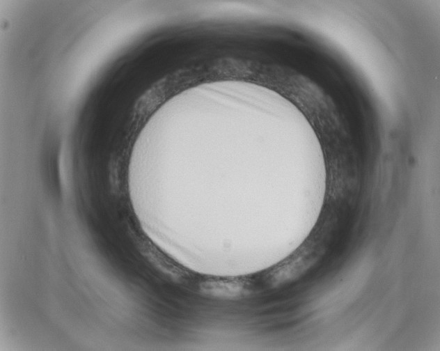 X0000086040765200704202011