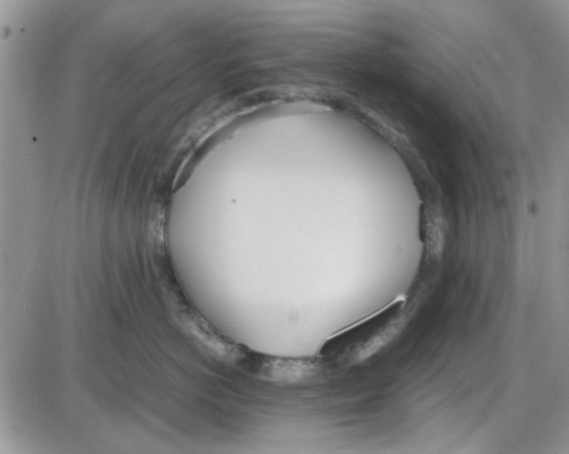 X0000086040766200704202011