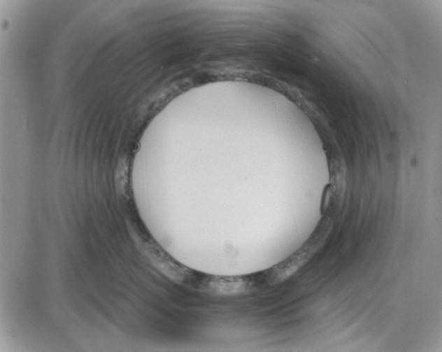 X0000086040767200704202011