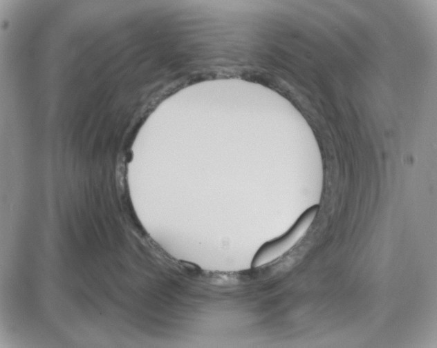 X0000086040768200704202011