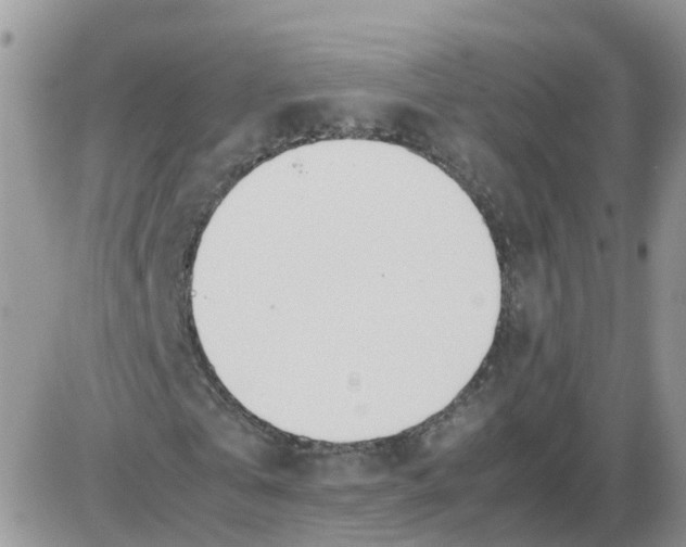 X0000086040769200704202010