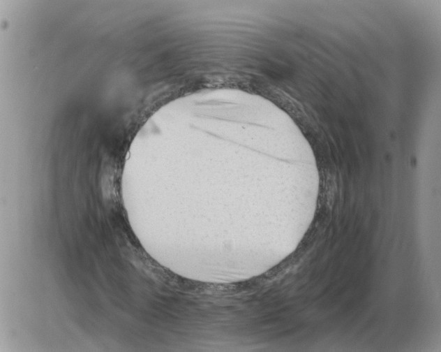 X0000086040770200704202010