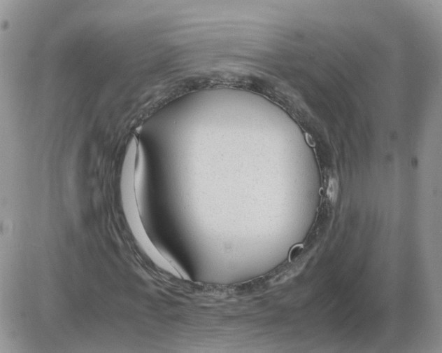 X0000086040771200704202010