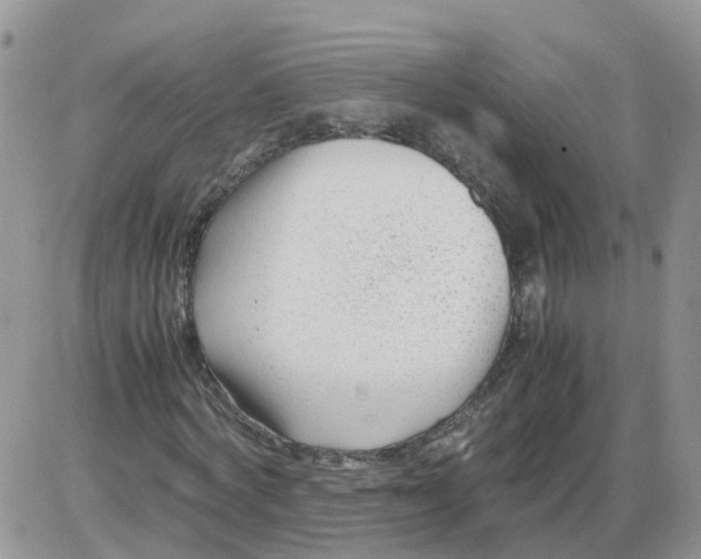 X0000086040772200704202010