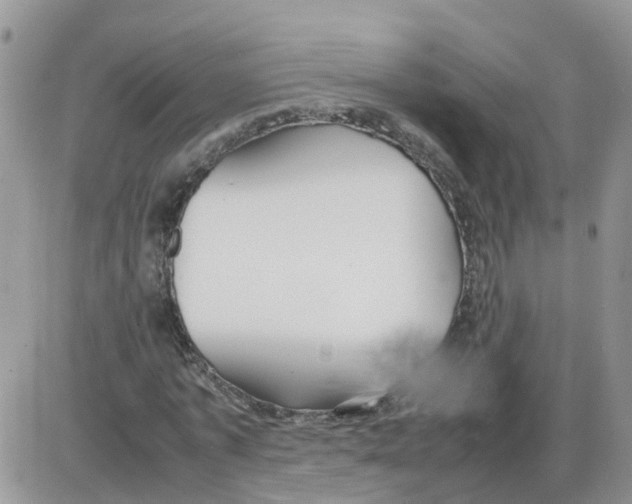 X0000086040773200704202010