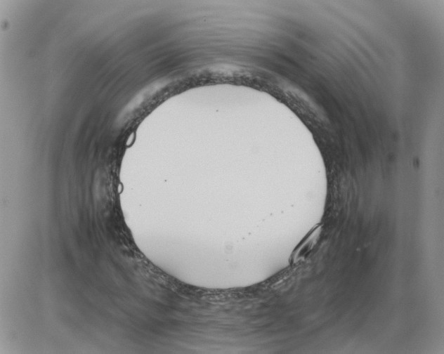 X0000086040776200704202010