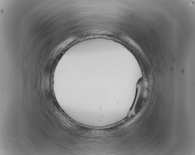 X0000086040777200704202010