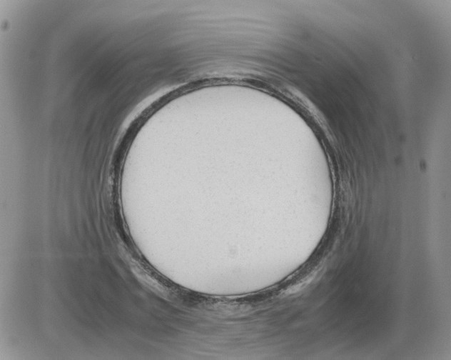 X0000086040779200704202010