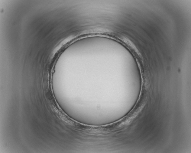 X0000086040781200704202010