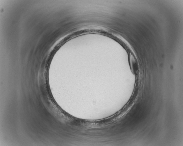 X0000086040783200704202010