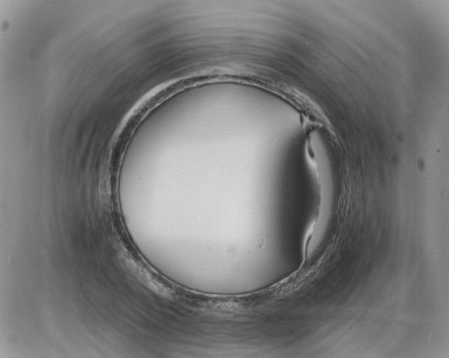 X0000086040784200704202010