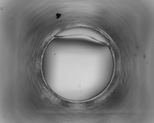 X0000086040785200704202010