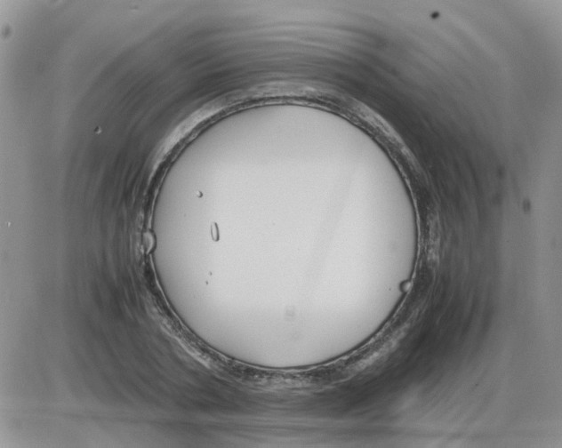 X0000086040786200704202010