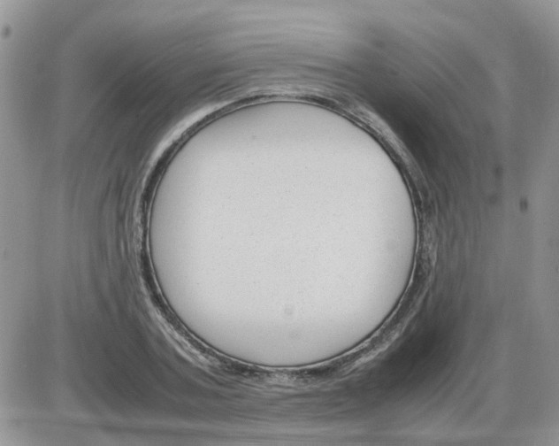 X0000086040787200704202010