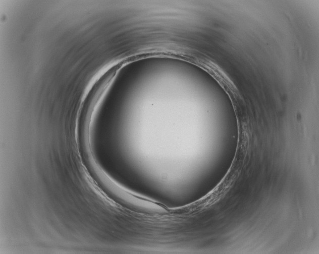 X0000086040788200704202010