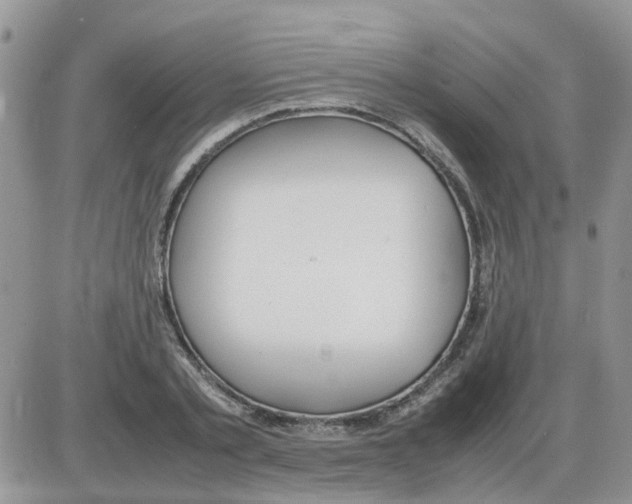 X0000086040789200704202010