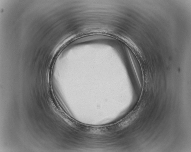 X0000086040790200704202010