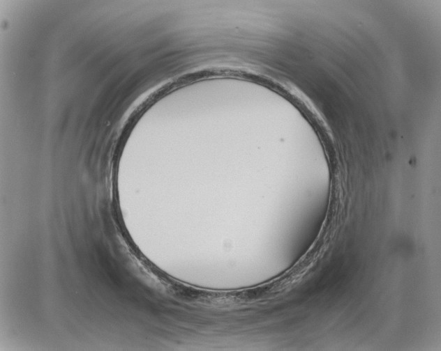 X0000086040791200704202010