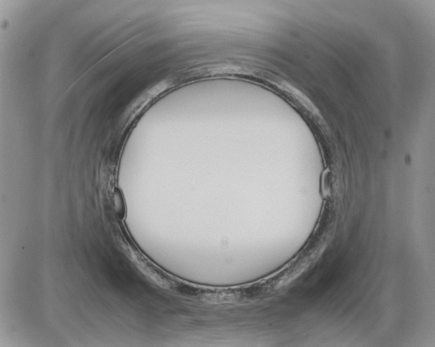 X0000086040793200704202010