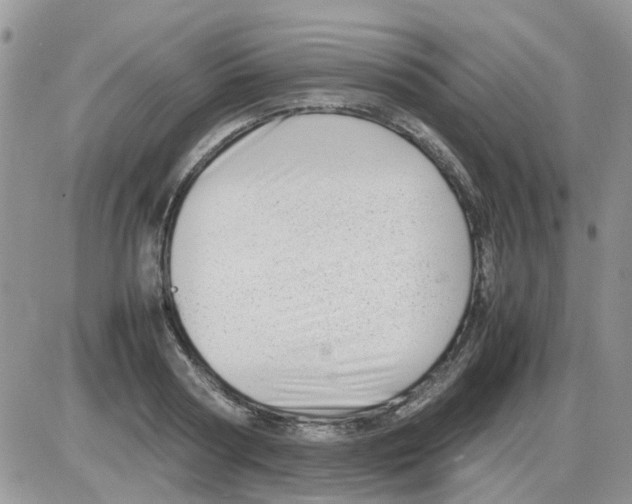 X0000086040794200704202010